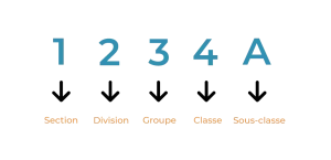 découvrez comment choisir le bon code naf pour votre entreprise afin de respecter la législation et faciliter vos démarches administratives. conseils pratiques et explications claires.