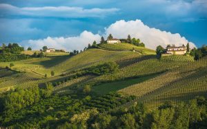 découvrez les vignobles du piémont, classés au patrimoine mondial de l'unesco, et explorez une région italienne réputée pour ses vins prestigieux et ses paysages viticoles d'exception.
