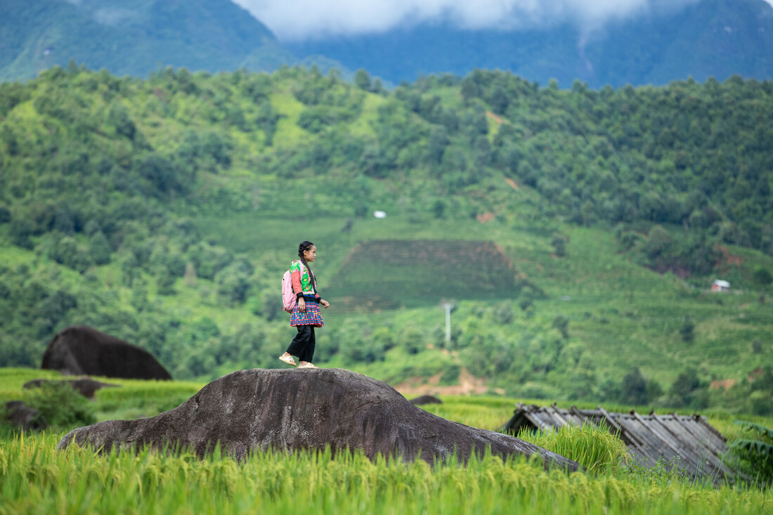 découvrez comment les élues écologistes s'engagent pour soutenir les femmes face aux défis du climat et des inégalités sociales.